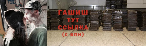 гидра Корсаков