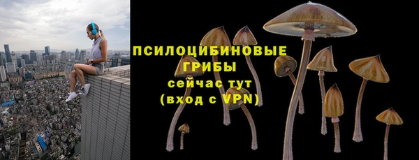 крисы Коряжма