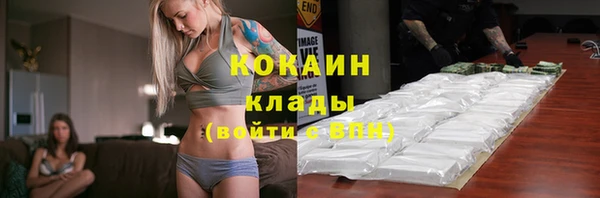 крисы Коряжма