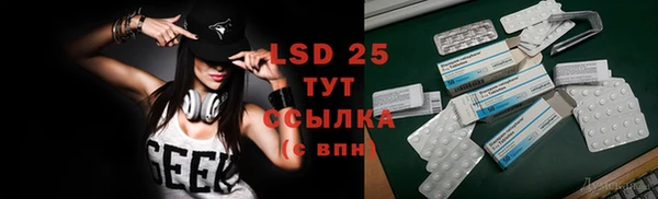крисы Коряжма