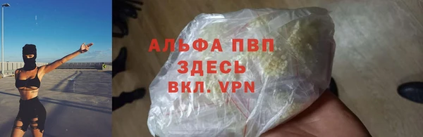 крисы Коряжма