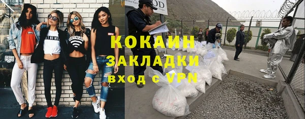 гидра Корсаков