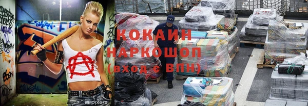 гидра Корсаков