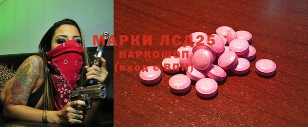 крисы Коряжма