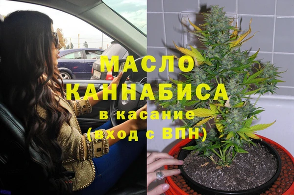 крисы Коряжма
