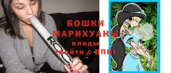 крисы Коряжма